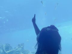 -海棠湾洲际-涛·海底餐厅·美人鱼·自助餐·海底隧道