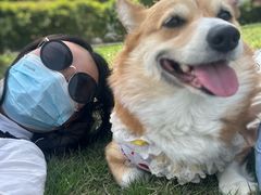 -武汉紫薇都市田园