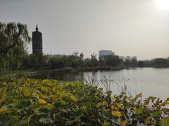 -西海子公园