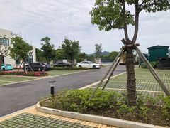 -洲晓鲜·舟山海鲜大排档(朱家尖风景区店)