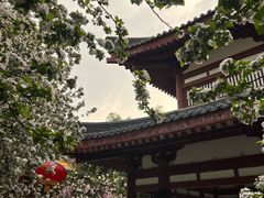 -大唐博相府酒店·陕西官府菜
