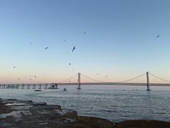 -星海广场