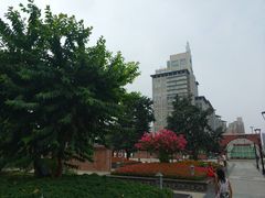 -唐城墙遗址公园