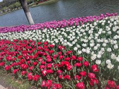 -上海鲜花港