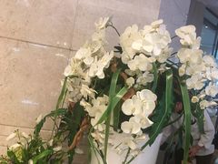 -gaga(深圳南山益田假日广场店)