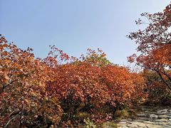 -香山公园