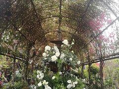 -The Grounds of Alexandria