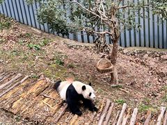 -黔灵山公园