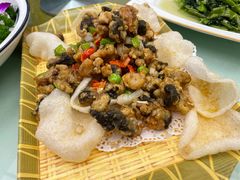 -丁老爷子苏香圆
