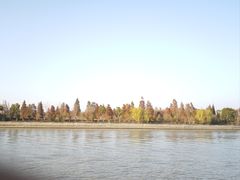 -乌镇景区