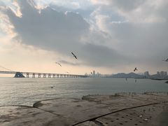 -星海湾跨海大桥