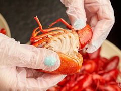 -海盗虾饭·剥好的小龙虾饭(上地辉煌店)