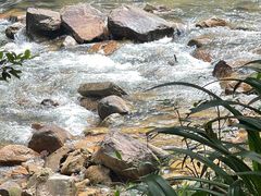 -广州白江湖森林公园