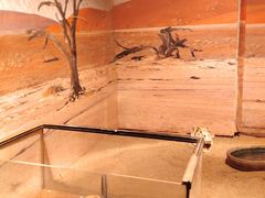 -多彩贵州城极地海洋世界