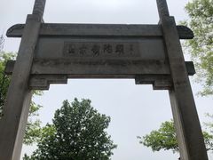 -紫金山山顶公园