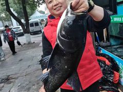 -好灶头妈妈菜·柴火灶台鱼·千岛湖土菜地标美食