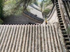 -潭柘寺景区