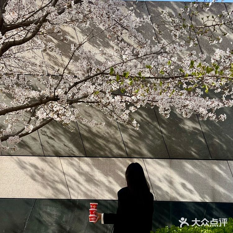 夏天到了，在樱花下吃顶流小吃