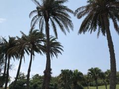 -鹅銮鼻公园