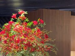 -在前门·烤鸭北京菜(五月花广场店)