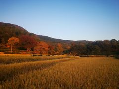 -塔川景区
