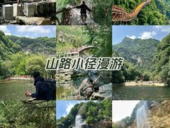 -少华山国家森林公园