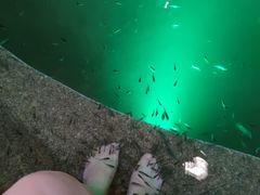 -宝丽金大酒店·洗浴中心
