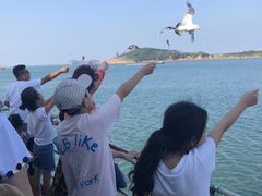 -海驴岛(荣成市)