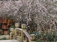-北寺塔