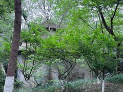 -大蜀山国家森林公园