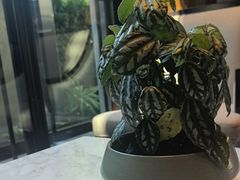 -杭州西湖柳莺里酒店