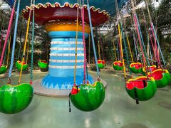 -南宫五洲植物乐园