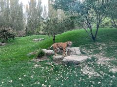 -北京野生动物园