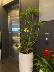 -禧月荟S月子中心(侨城店)