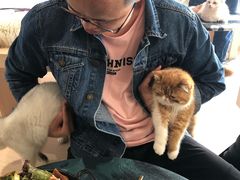 -瞄一喵猫咖(格力海岸店)