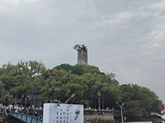 -江心屿景区