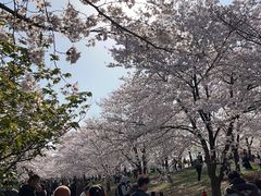 -上海辰山植物园