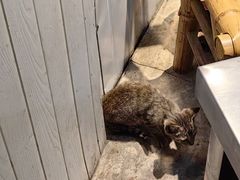 -铜瓢江湖兔火锅(水碾河社区店)