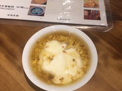 -古树酸奶(八廓南街店)