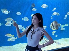 -合肥海洋世界