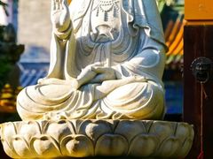 -西安大兴善寺