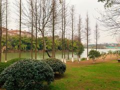 景点-艾溪湖湿地公园