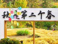-塔川景区
