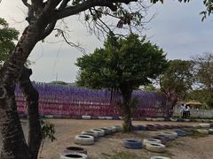 -长洲岛都市农业公园