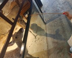 -酷嗒动物文化乐园(cutezoo西溪乐天城店)