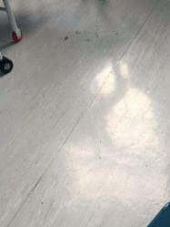 -上海市儿童医院(北京西路院区)