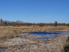 -野鸭湖国家湿地公园