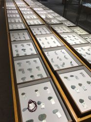 -北京七彩云南翡翠珠宝旗舰店(月坛店)