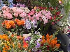 -Flower in(密渡桥店)