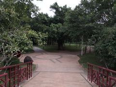 -白沙门生态公园